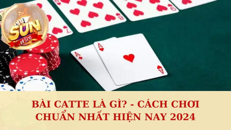 Bài Catte Là Gì? - Cách Chơi Chuẩn Nhất Hiện Nay 2024